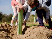 Los colegios plantarán junto al Ayuntamiento más de 2.000 árboles hasta abril