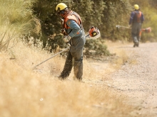 Campaña municipal de desbroces para minimizar el riesgo de incendios