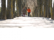 Las Rozas dará ayudas de 250 euros al alquiler para jóvenes, mayores, rentas bajas y desempleados