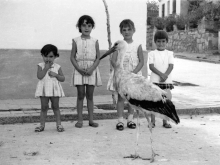 El Ayuntamiento fija la memoria viva del municipio mediante el proyecto Las Rozas Recuerda