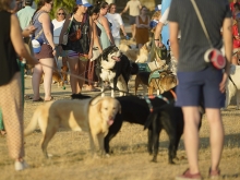 Las tres zonas caninas inauguradas este año elevan a 49  el total de áreas disponibles en Las Rozas