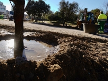 Finaliza el operativo estival de riegos de arbolado y plantaciones con cerca de 600 intervenciones 