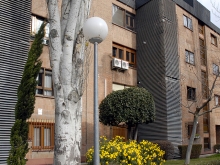 Abierta la Oficina de Asesoramiento al Alquiler y la Rehabilitación de viviendas del Ayuntamiento