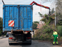 Comienza la campaña municipal gratuita de recogida de grandes podas
