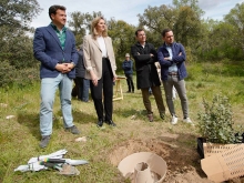 El Ayuntamiento culmina el Catálogo de Árboles y Arboledas  de Interés Municipal