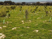 Las Rozas reduce un 60% su huella de carbono gracias a las medidas adoptadas