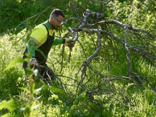 El Ayuntamiento comienza las labores de desbroce en la senda del arroyo Trofa