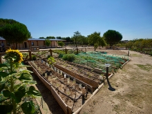 Nuevo Programa de Educación Ambiental