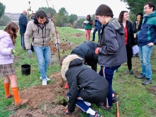 Embajadores europeos participan en una plantación en Las Rozas