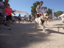 CaniCross reunirá este domingo a más de 100 perros con sus dueños
