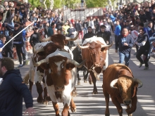Las Matas retoma las Fiestas de San José este fin de semana