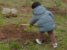 Nueva Gran Plantación Familiar en Las Rozas