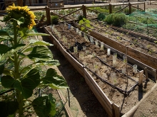 Abierto el plazo de solicitudes para el uso de los Huertos Urbanos