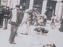 Planes para el fin de semana en Las Rozas